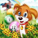 Download hack Bingo Pets Party: Dog Days for Android - MOD Money