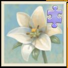 Download hack Inner Garden: Victorian Houses for Android - MOD Money