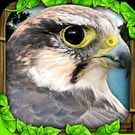 Download hacked Falcon Simulator for Android - MOD Unlocked