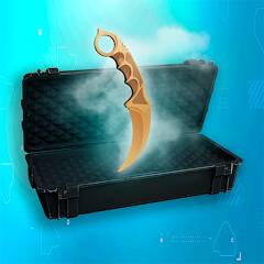 Download Standoff Case Sim [MOD money] for Android