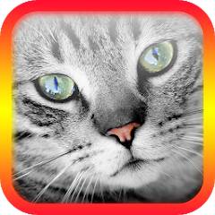 Download Cat Translator for Cats -prank [MOD coins] for Android